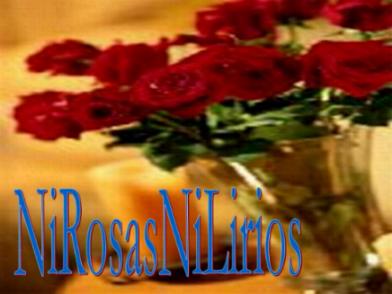 20060217130934-nirosasnilirios.jpg