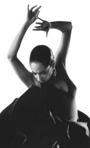 20060302202950-flamenco-9739.jpg