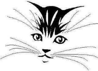 20060508185447-gatopardo.jpg