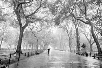20061107115818-lluvia.jpg