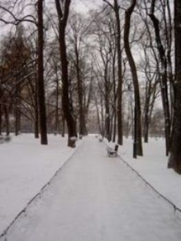 20070126192435-invierno1.jpg