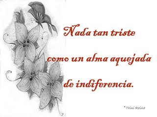 20080727134443-haiku-i.jpg