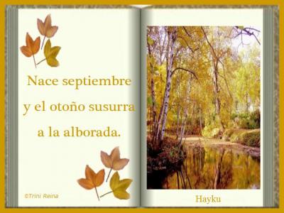 20080904082346-hayku-septiembre.jpg