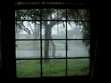 20081012085020-rain6.jpg