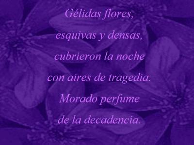20081110174417-parvedad-iii.jpg