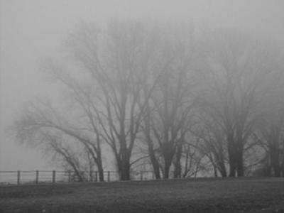 20081124192525-500069559-c7593f0970-b.jpg