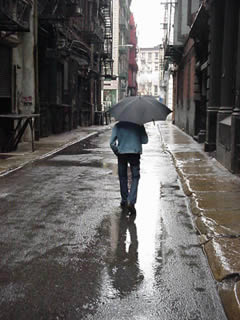 20090107194649-lluvia.jpg