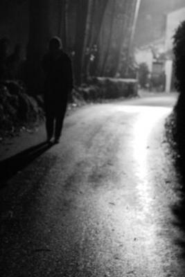 20090127091504-salamandras.jpg
