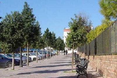 20090201193122-avdajuancarlos-i.jpg