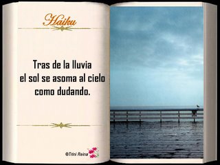 20090210074203-haiku-18.jpg