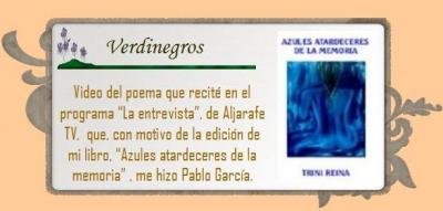 20090608173159-verdinegros.jpg