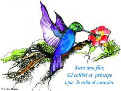 20090804084115-futilidad-ii.jpg