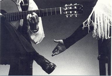 20090826081148-flamenco.jpg