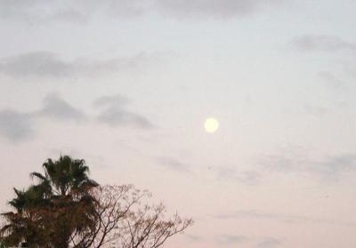 20091213085711-varias-006.jpg