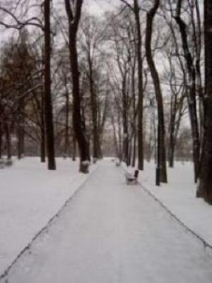 20091215212255-invierno.jpg