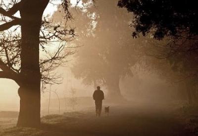 20100102085601-humo.jpg