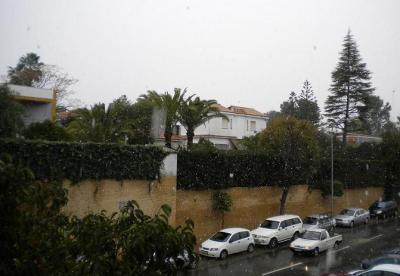 20100110142204-nevando-4-020.jpg