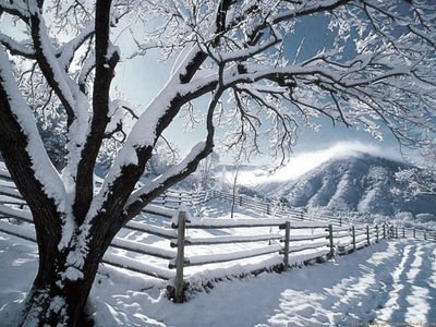20100120141320-invierno-2.jpg