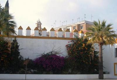 20100124091919-varias-7-004.jpg