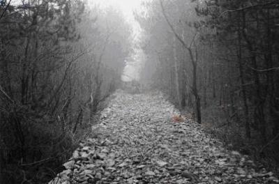 20100129081029-invierno-2.jpg