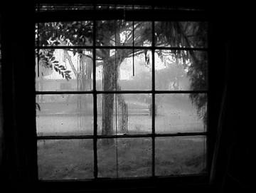 20100207084130-rain6.jpg