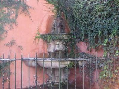 20100304150342-mis-fotos.jpg