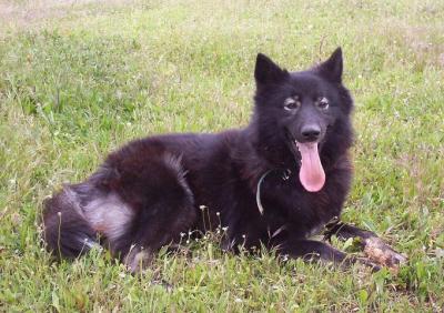 20100416185243-luna5.jpg