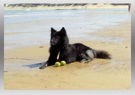 20100910193129-20100909214147-luna-1.jpg