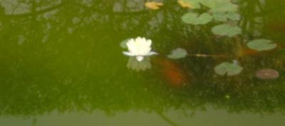 20100911120930-isa-y-yo-039.jpg