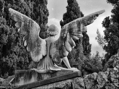 20101031192126-cementerio-2.jpg