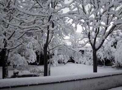 20110109132307-b-b.jpg