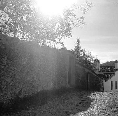 20110303180615-viernes.jpg