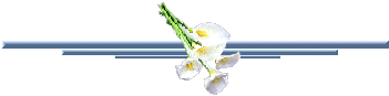 20110324081233-50calas.gif