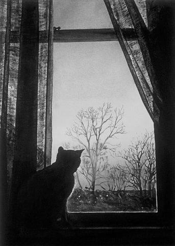 20110509094950-cat.jpg