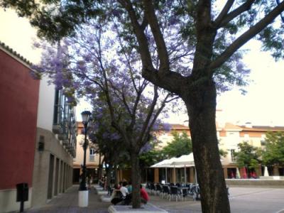 20110529101652-varios-2-004.jpg