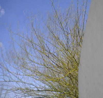 20110601081442-tarde.jpg