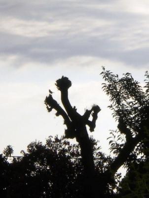 20110628122141-035.jpg