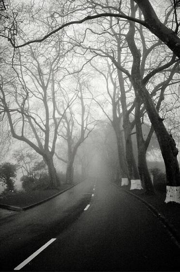 20110916183004-luis-filipe-franco.jpg