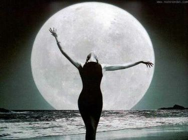 20110929075520-r-luna-p-p-.jpg