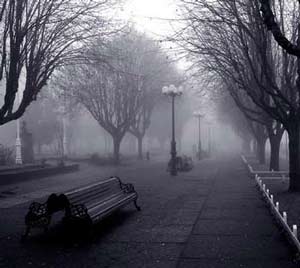 20111225203156-niebla.jpg