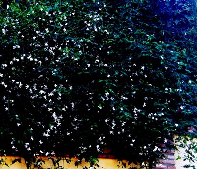 20120222183836-014.jpg