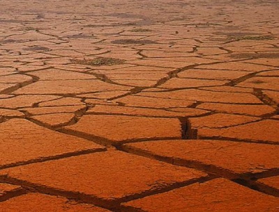 20120226154322-cuarte.jpg