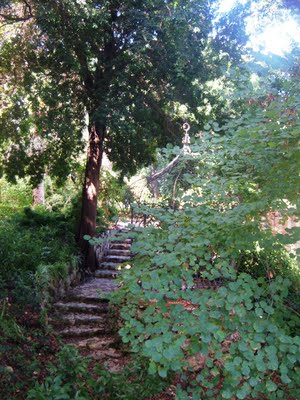 20120306082447-escaleras-sin-destino.jpg