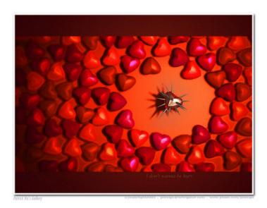 corazones2.jpg