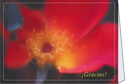 grACIAS2.JPG
