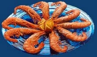 langostino3.JPG